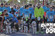 II Running With Dog en Almería