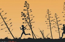 V Carrera Popular Venta del Pobre - Almería