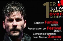 Festival de Flamenco en Huércal Overa