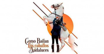 Cómo bailan los caballos Andaluces