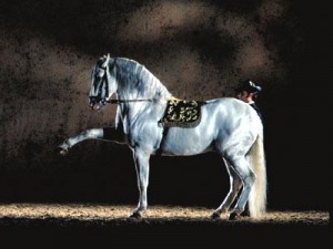 Cómo bailan los caballos Andaluces