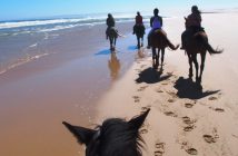 Ruta a caballo por Cabo de Gata