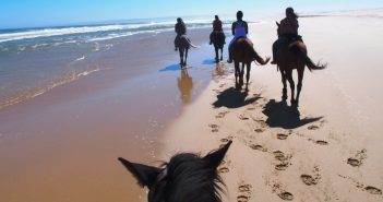 Ruta a caballo y ponis por Cabo de Gata
