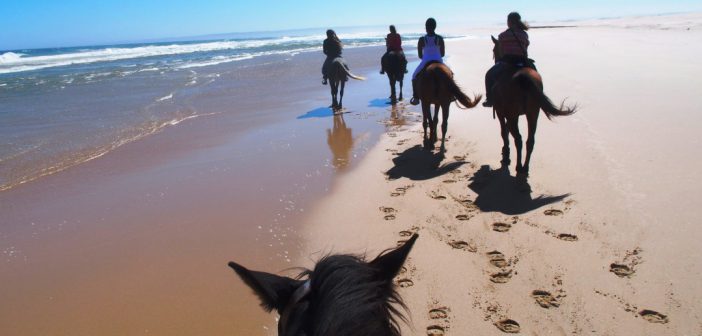 Ruta a caballo por Cabo de Gata