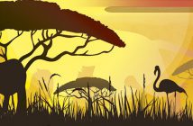 Musical "De simba a Kiara: El Tributo del Rey León"