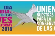 Ruta ornitológica a Punta Entinas para celebrar el Día Mundial de las Aves