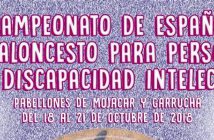 Campeonato de España de Baloncesto Adaptado