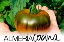 ALMERIA COCINA