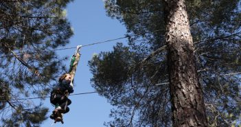 Bosque-Parque de tirolinas y juegos