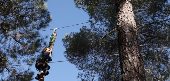 Bosque-Parque de tirolinas y juegos