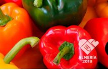 Almería 2019 Capital Gastronómica¡Los pimientos! De colores, dulces y sabrosones