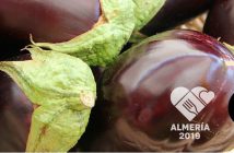 Almería Capital Gastronómica 2019