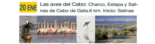 Rutas guiadas por Almería