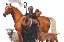 San Antón Almería 2019