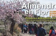 Diputación de Almería - Agenda Cultura y Deportes - Enero2019