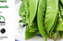 Cocina en directo con Tirabeques de Dalías. ¡100% vegetal! Almería 2019