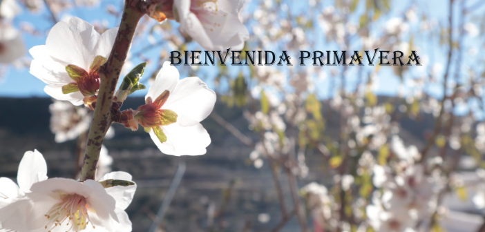 Primavera en Almería