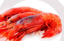 Jornadas de la Gamba Roja de Garrucha - Almería 2019