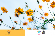 Visitas guiadas por Almería - Primavera 2019
