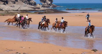 Ruta a caballo y ponis por Cabo de Gata, Almería Ruta a caballo y ponis por Cabo de Gata Almería