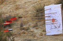 Circuito Provincial de Tiro con Arco y Propulsor Prehistóricos