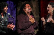 Festival Flamenco de Huércal de Almería 2019 "Puerta del Bajo Andarax"