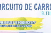 VII Circuito de Carreras Populares de El Ejido