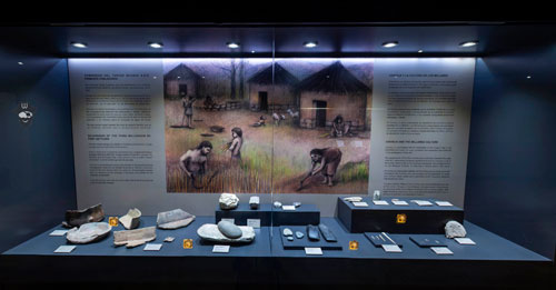 fosiles Colección-Arqueológica-El-Ejido