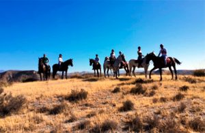 Ruta a caballo Desierto de Tabernas, Almería
