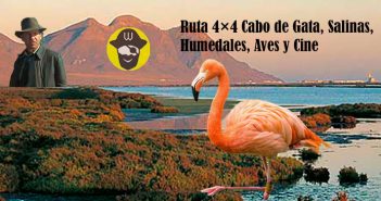 Ruta 4×4 Cabo de Gata, Salinas, Humedales, Aves y Cine