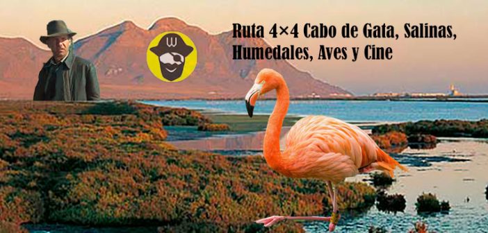 Ruta 4×4 Cabo de Gata, Salinas, Humedales, Aves y Cine