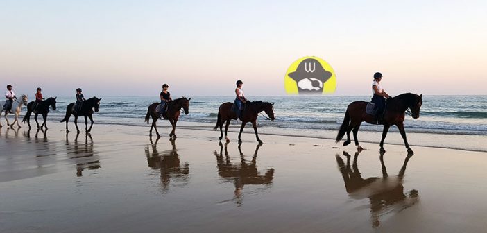 Ruta a caballo Cabo de Gata Almería