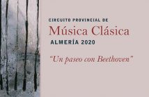 Circuito Provincial de Música Clásica - Un paseo con Beethoven