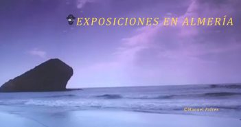 EXPOSICIONES – Museos de Almería EXPOSICIONES Museos de Almería - Julio 2020