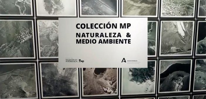 Programa Centro Andaluz de Fotografía (CAF)