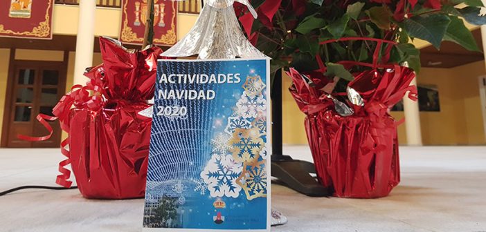 Programación de Navidad 2020 - Roquetas de Mar