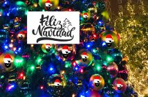 Programación Navidad 2020/21 Almería ciudad y pueblos