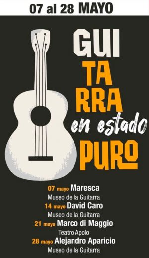 Guitarra en estado puro 