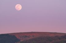 Superluna rosa