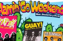 Flamin'Go Beach Fest