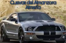 Exhibición de Ford Mustang