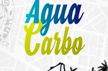XXXV AGUACARBO