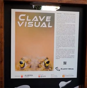 Exposición de fotografía 'Natural' del colectivo 'Clave Visual'