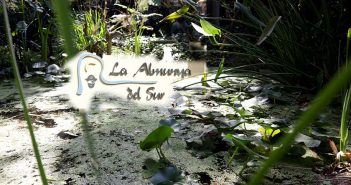 Jardín Botánico La Almunya del Sur