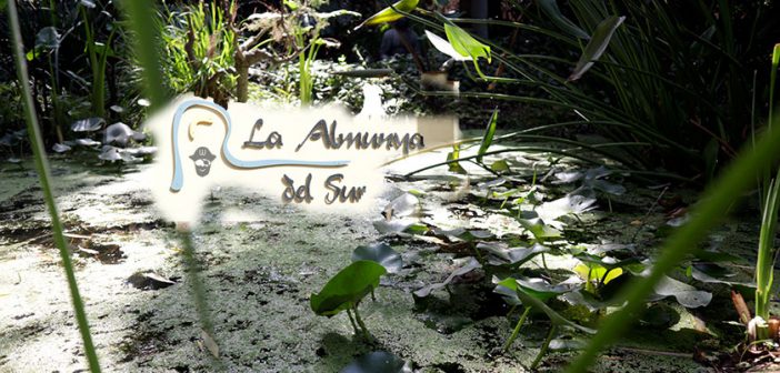 Jardín Botánico La Almunya del Sur