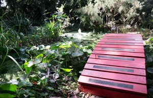 Jardín Botánico La Almunya del Sur