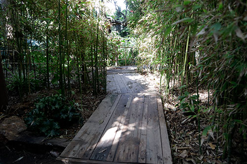 Jardín Botánico La Almunya del Sur