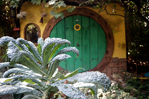 Jardín Botánico La Almunya del Sur