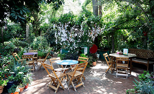 Jardín Botánico La Almunya del Sur