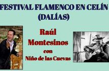 Festival Flamenco en Celín